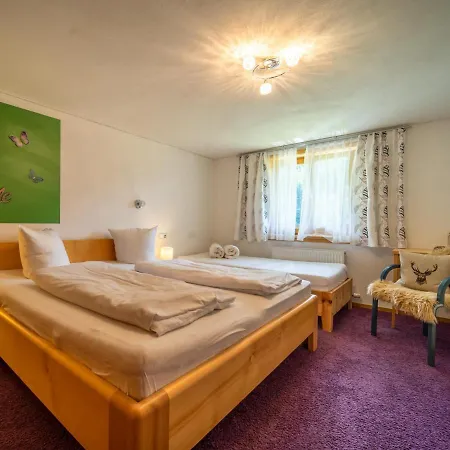 Gaestehaus Walch Iii Apartment
